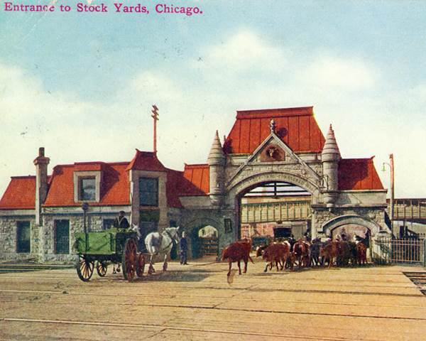 The famous arched entry to the Union Stock Yards, as shown in a 1910 postcard.