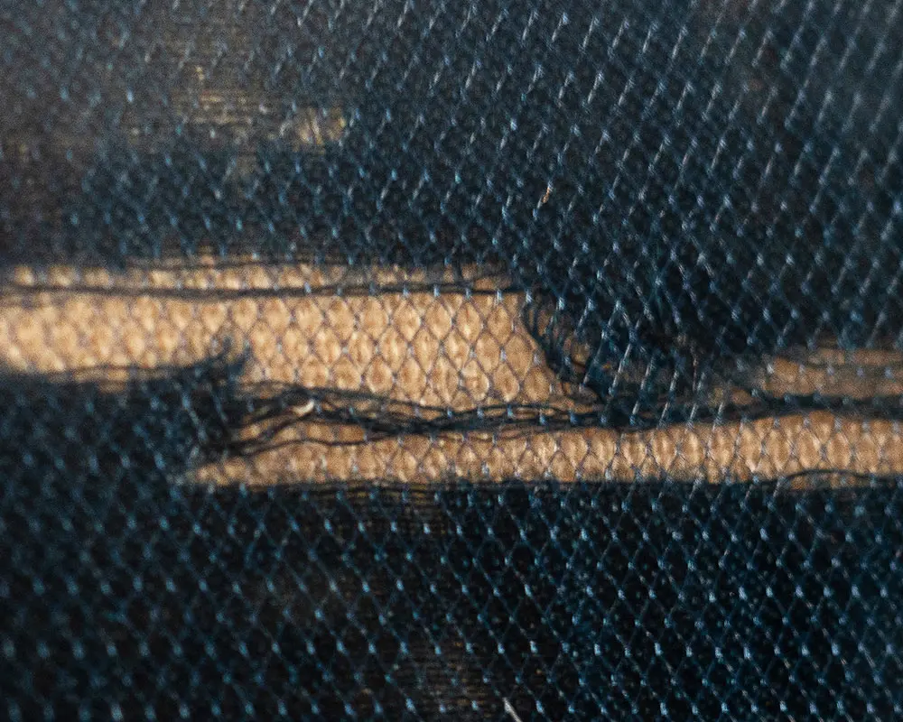 Protective mesh over the flag.